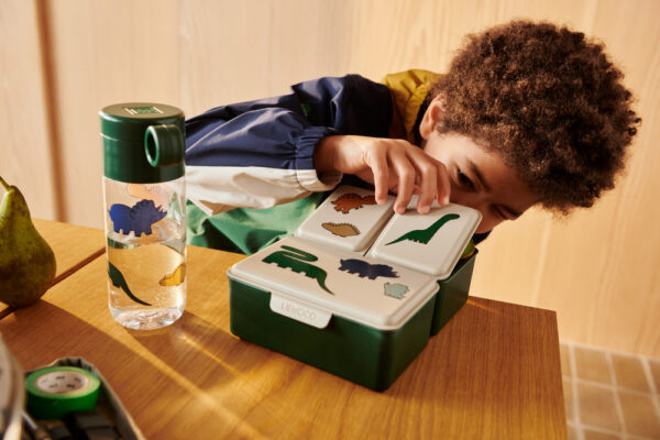 Lunchbox Driss (Dinosaurs/Mist)