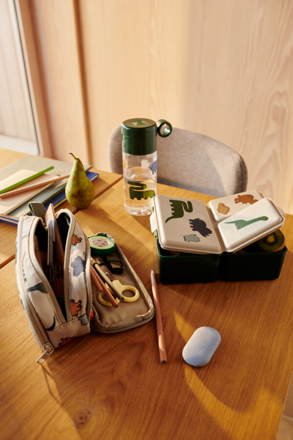 Lunchbox Driss (Dinosaurs/Mist)
