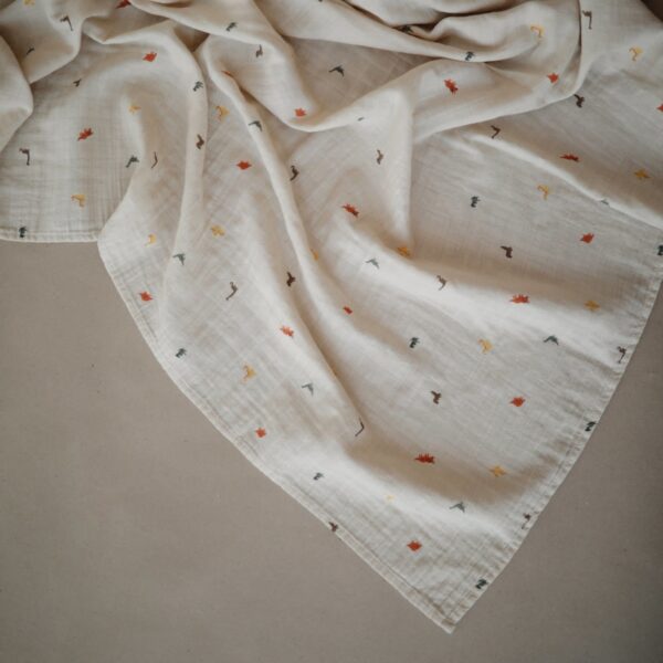 Swaddle (Dinosaurs)