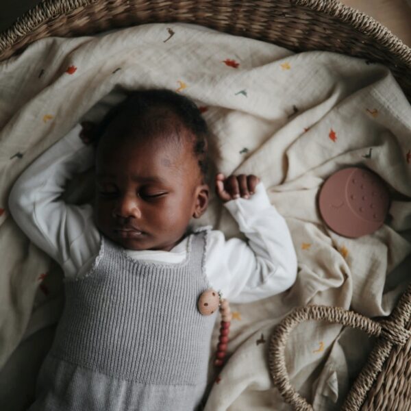 Swaddle (Dinosaurs)