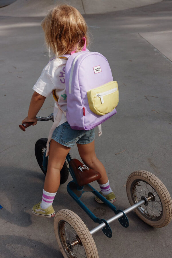 Rugzak (Mini Mauve)