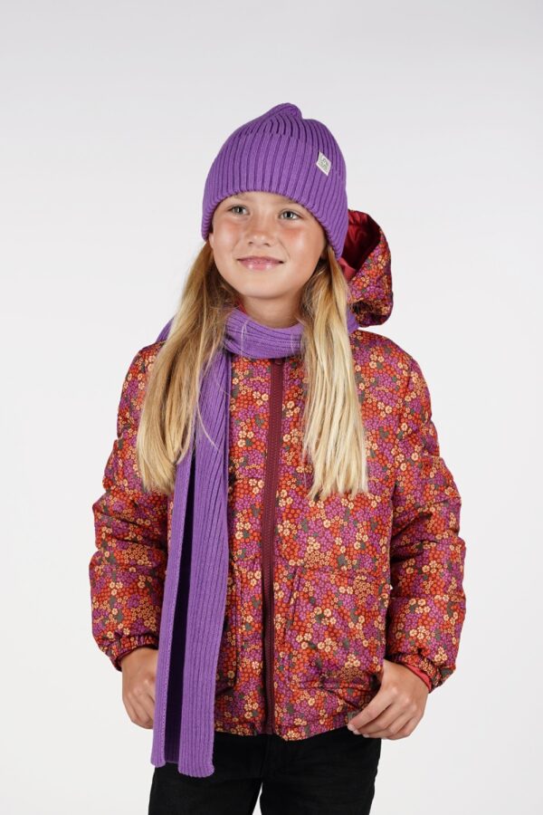 Beanie Jip (Bellflower)