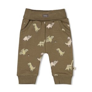 Broek AOP - Rawrsome