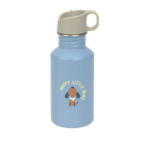 Drinkfles RVS 500ml Pattern Party (Blue/Green)