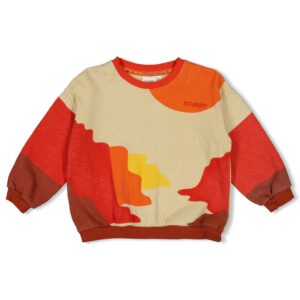 Sweater AOP - Chasing Trails