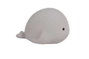 Mijn eerste oceaandiertje (Walvis)