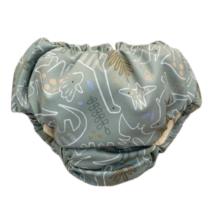 Bedwetter Pants (Little Dinos)