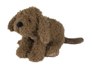 Labradoodle Larry nr 1