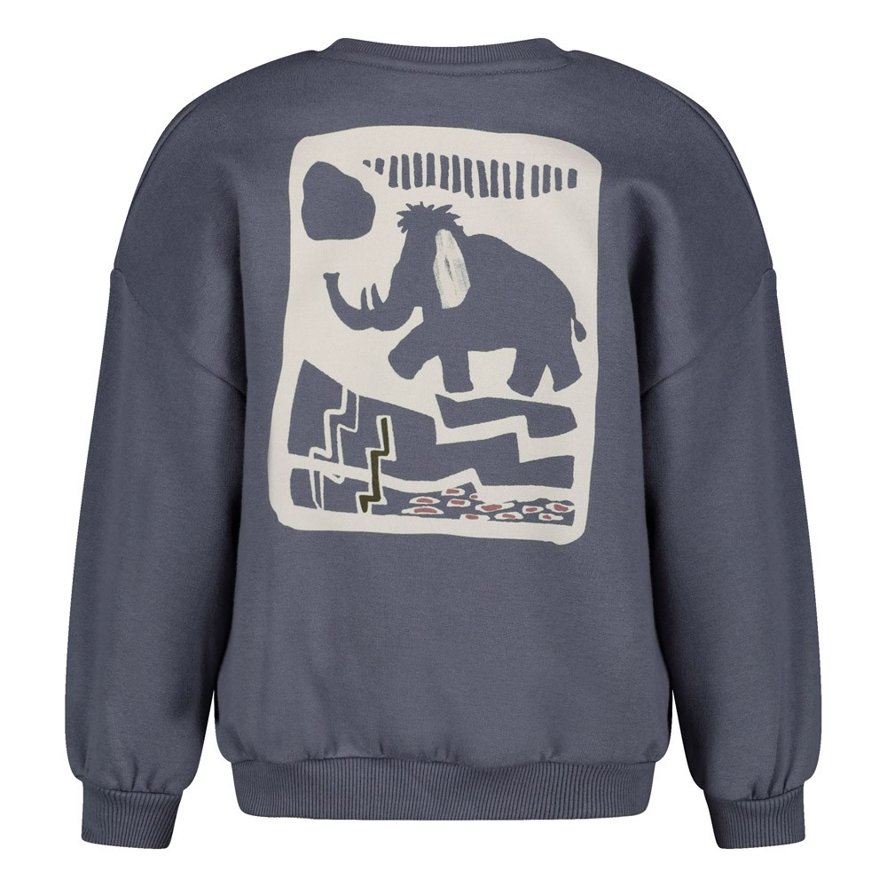 Sweater met backprint oversized - Rock the Earth