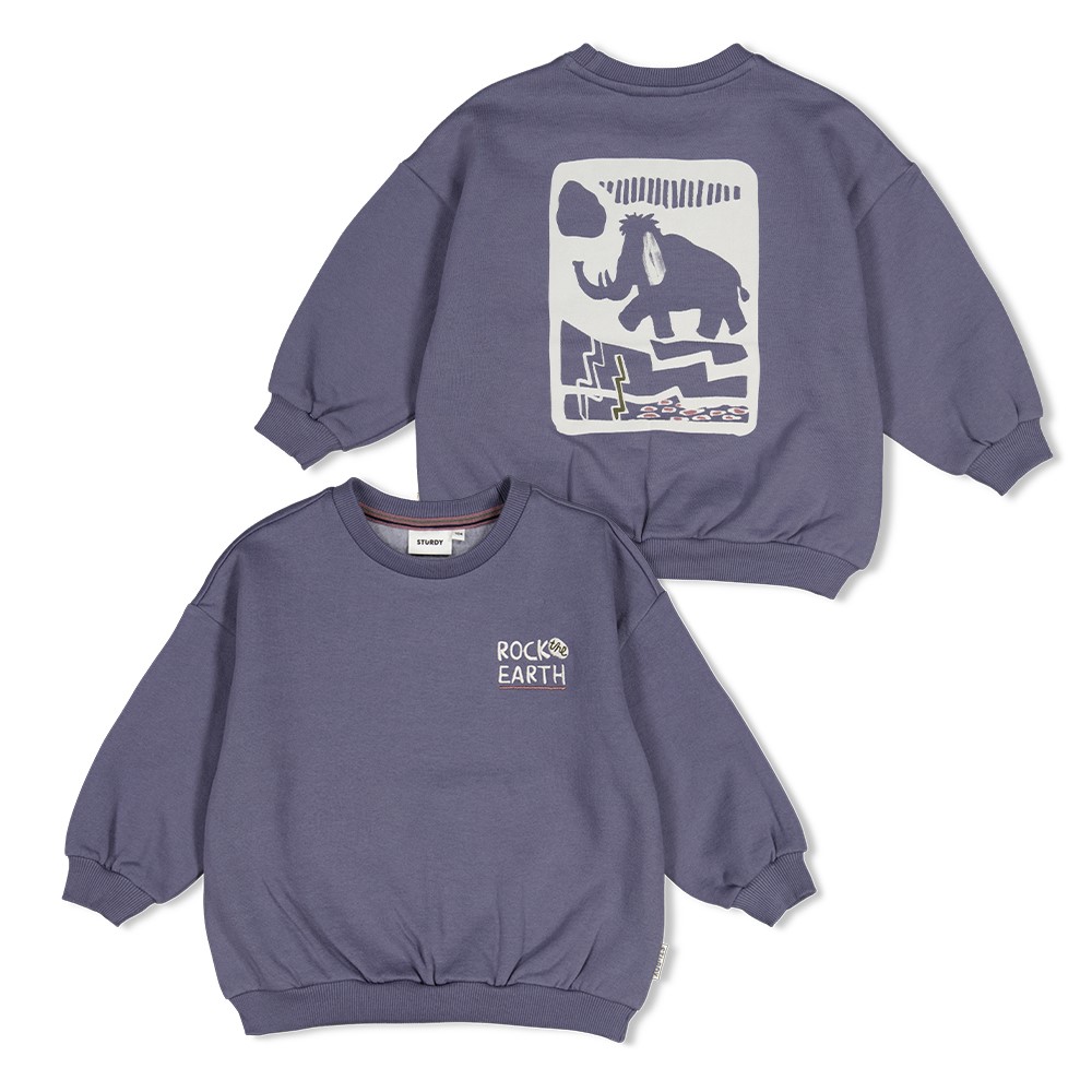 Sweater met backprint oversized - Rock the Earth