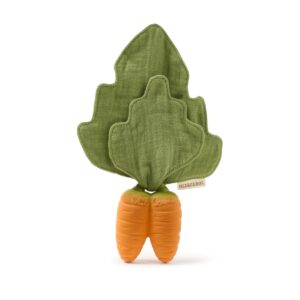 Cathy the Carrot