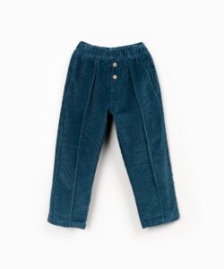 Corduroy Trousers (Cyanotype)