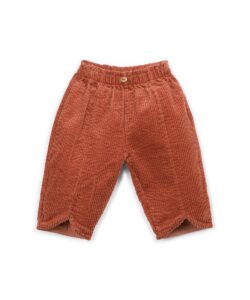 Corduroy Trousers (Tapestry)