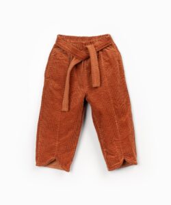 Corduroy Trousers (Tapestry)