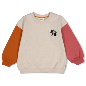 Sweater met backprint oversized - Mountain top