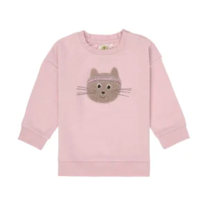Sweater Cat