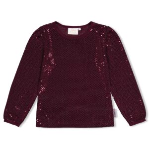 Longsleeve pailetten - Daily Princess